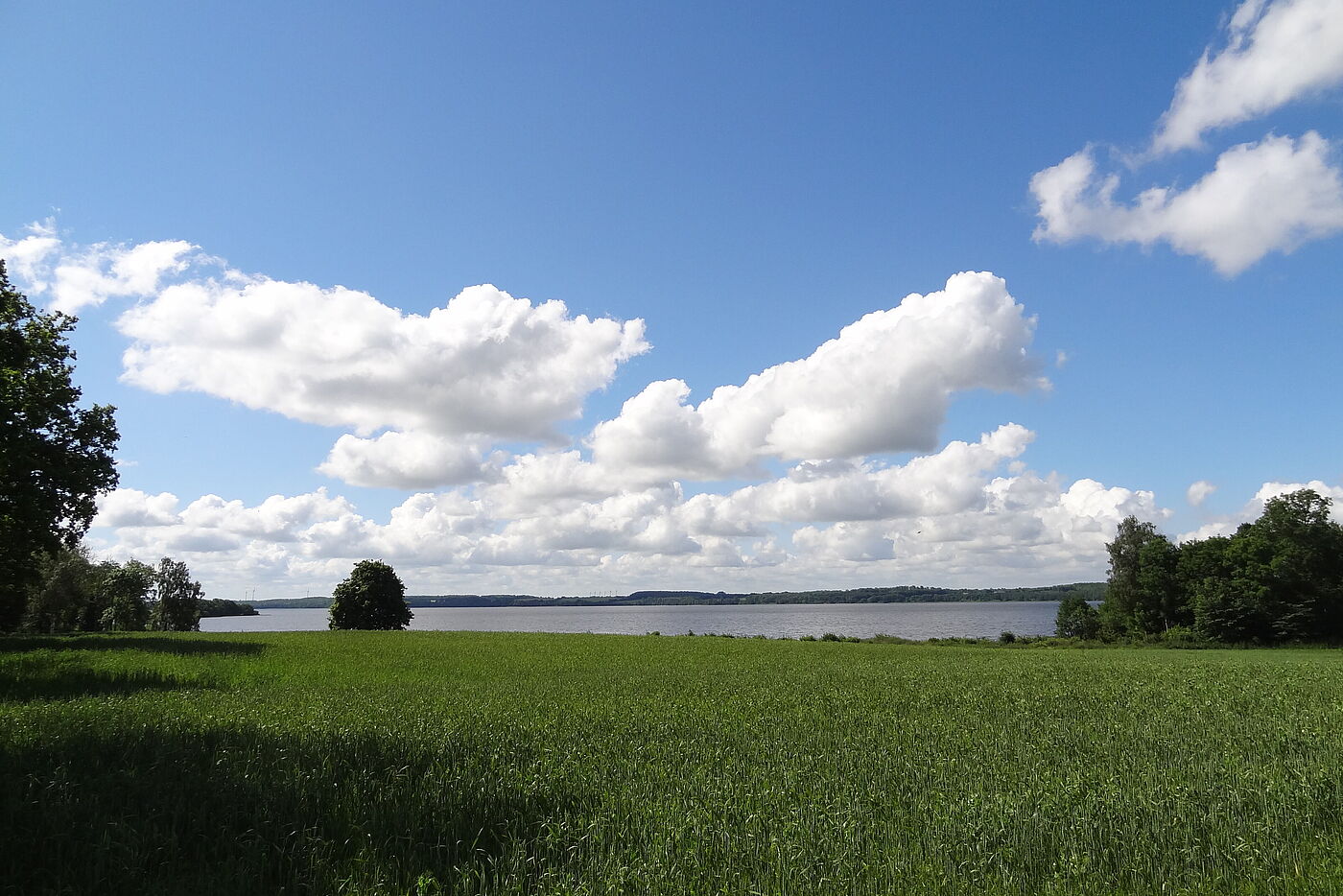 Grüne Wiese, See, blauer Himmel mit Wolken