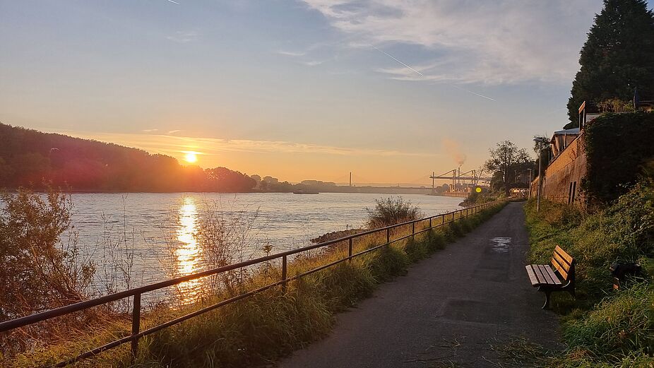 Morgenstimmung am Rhein: So schön ist's nur im Herbst.